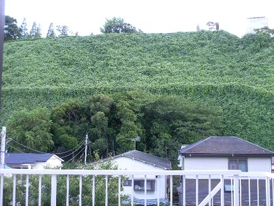 プロスペアー石川町 屋上眺望.jpg